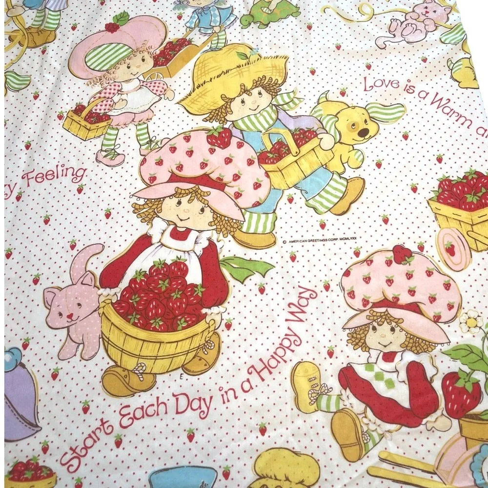 Vintage Strawberry Shortcake 3 Piece Twin Sheet Set 1980s - Fitted, Flat & Case